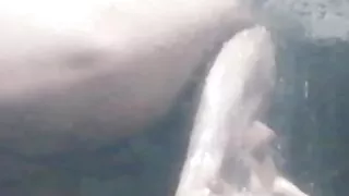 Fhatani cute ace bhabhi ki big ass