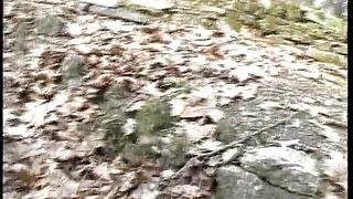 Beautiful Sluts and Big Tits - Full Original Movie in HD