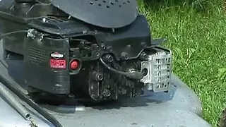 The Farm of the Old Orcas - Part 02