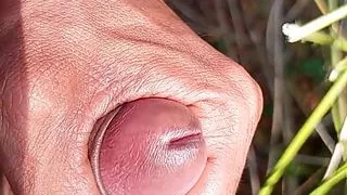 Harmit fucking hard in huge cock