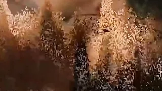 A Couple of Smoking Hot Tattooed Brunettes Play Solo Before a Thorough Dick Treatment