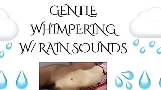 WHIMPERING (Rain ASMR)