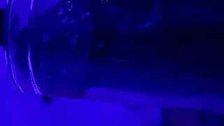 Black dick magic stick