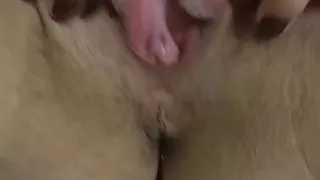 play in my pussy and boobs