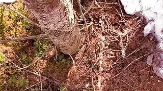 I shot multiple loads of cum in the woods! Piss and orgasms. Risk of getting caught!