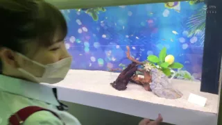 0005576_女子校生 手マン ディープキスなどが含まれている