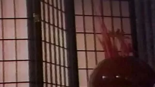 Vintage movie with stunning slut in stocking pleasing big cock