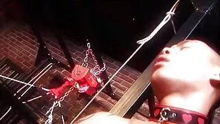 A Blonde Bimbo with Huge Fake Breasts and a Brunette Bitch Got Dicked Hard