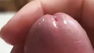 THE best in the world