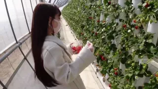 0003599_Japanese_Censored_MGS_19min