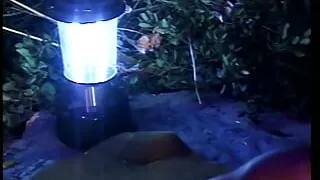 Black african chicks all holes fucked in group sex party outdoor