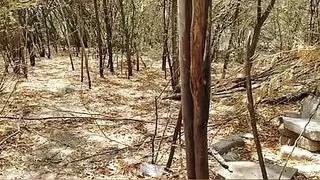 Desi aunty jungle sex