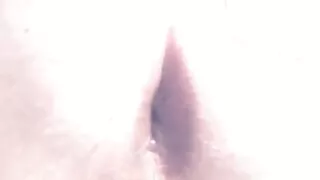 Anal plug play with a bottle.