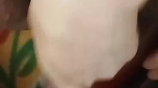 How to fuck, how to fuck, I like your land