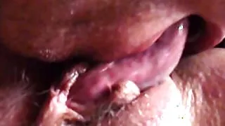 Hairy Pussy Licking