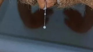 Sucking ,licking ,fucking in Bathroom, Horny Milf