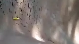 Jungle me Desi hot girl friend pussy video