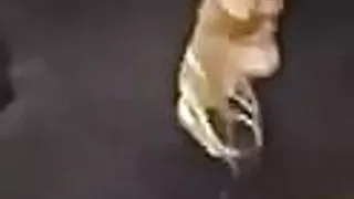 Made my girl hold it til she pissed herself on the way to the beach