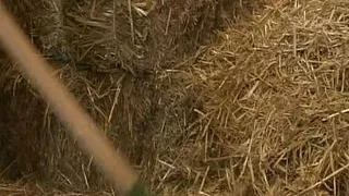 Sensual Emotion - Part 03