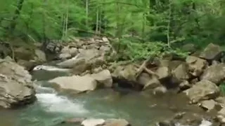 ASMR sex story in hindi Dirty talk