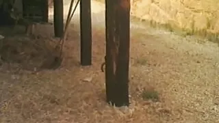 The Truck Driver - Part 02