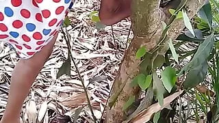 I sat on a tree branch and peed