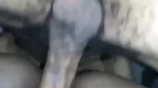 Best View of a Nice Fuck