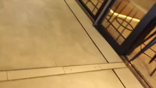 0003856_Japanese_Censored_MGS_19min