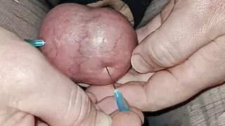 Ball torture with needles