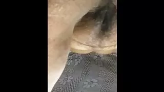Bengali Wife Fucking with Husband Friend