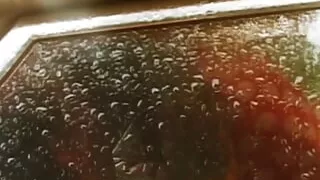 Animal Instinct - Part 01