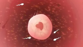 World Of Sisters (Sexy Goddess Game Studio) #92 - We Were Studying Anatomy by MissKitty2K