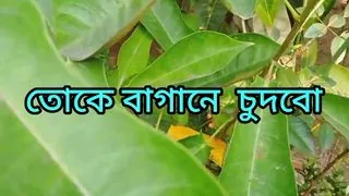 Bangladesh College girl sex in the garden