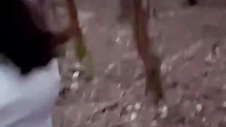 (NEW OnlyFans!) A stroll in the woods..