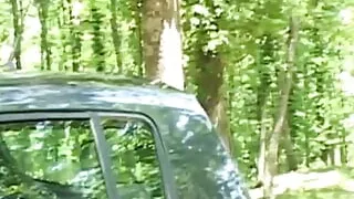 Wild Bunch - Part 03