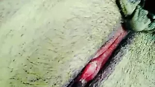 Pussy massage creampie Pussy