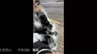 0004129_Japanese_Censored_MGS_19min