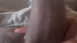 Monsterdick The 12 Incher