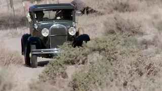 Some Girls with Small Tits and Big Tits Are Getting Their Cunts Slammed by Dudes