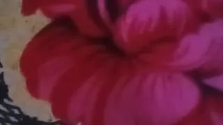 Dark room mouth first compilation 11