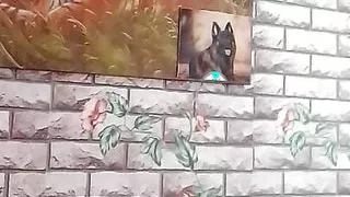 Walking naked and alone at home