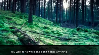 Sorrow (LustFight) - Ep 1 - Wonderland By RedLady2K