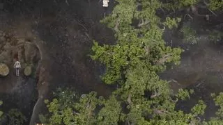 Lust Epidemic - Part 33 - Lesbian Teen Scissoring