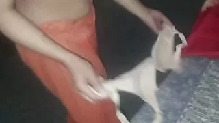 Homemade lover Doggystyle