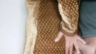 The beloved Diyala came to me the majesty found me lighting her container from her throw you entered in it all her step aunt as