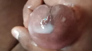 Horny cock jerking off bed