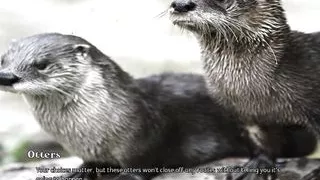 Matrix Hearts (Blue Otter Games) - Part 1 - That Important Day By LoveSkySan69