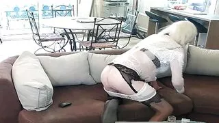 little quiet evening