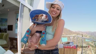 Blonde Zoey Monroe the hardcore anal pro MA108 - AnalVids