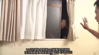 Thl063-trhfjwbgqc480216490